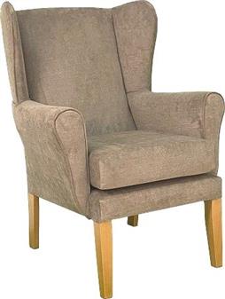 Fast Delivery York Wing Chair Bark Fabric