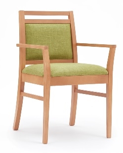 Dazio Armchair